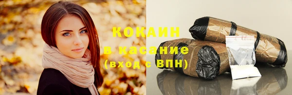 шишки Алексеевка