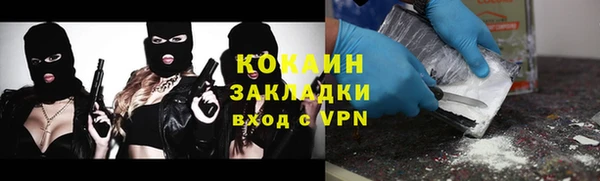 герыч Алексин
