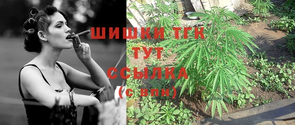шишки Алексеевка