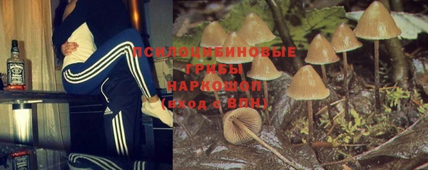 шишки Алексеевка