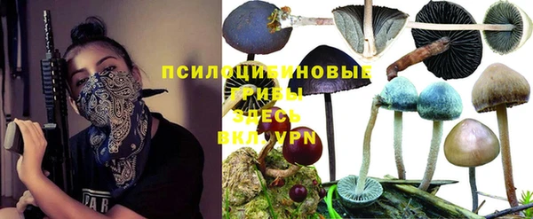 шишки Алексеевка