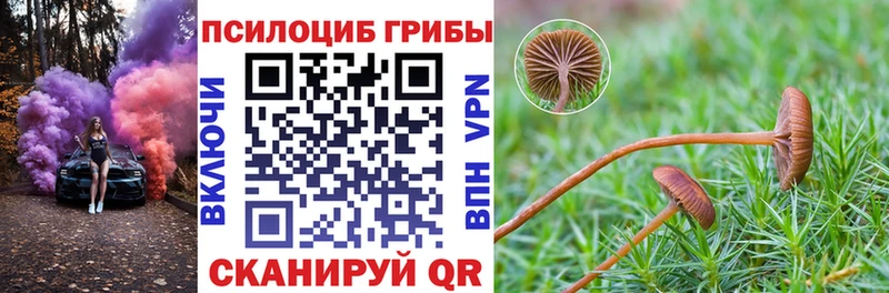 Галлюциногенные грибы Cubensis Ангарск
